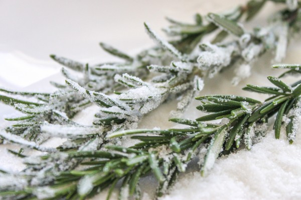 Candied-Rosemary-600x399